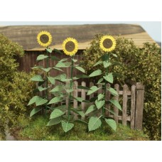 VG4-024 Sunflowers